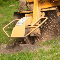 Melbourne Tree Removal Guys image 3